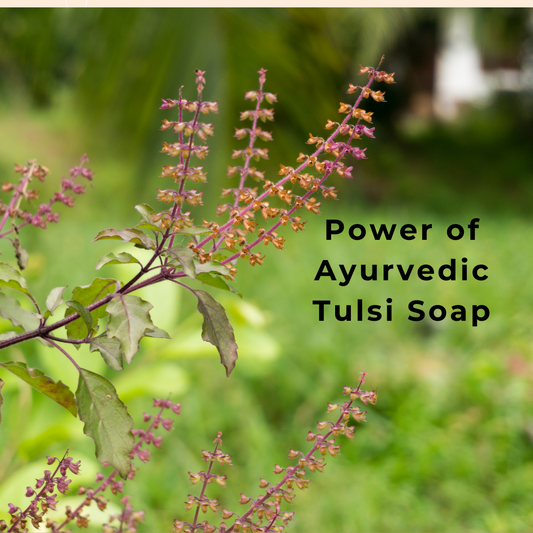 Unlock the Natural Wonders of Tulsi Soap: A Divine Experience for Your Skin