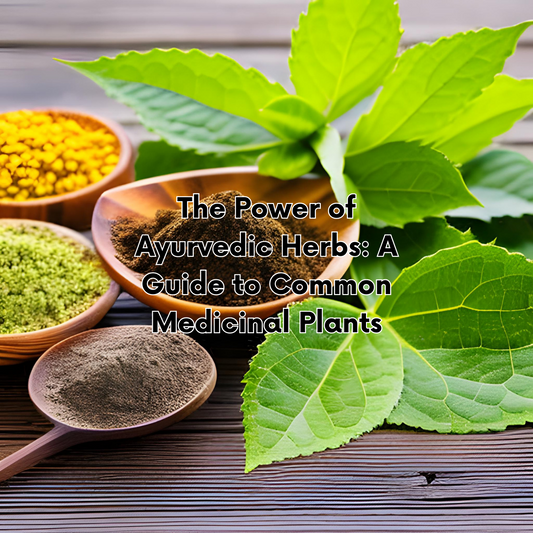 The Power of Ayurvedic Herbs: A Guide to Common Medicinal Plants
